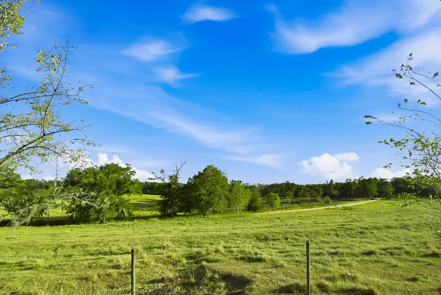 1259 NW Hawks Ave Avenue, Greenville, FL 32331 - Image #3