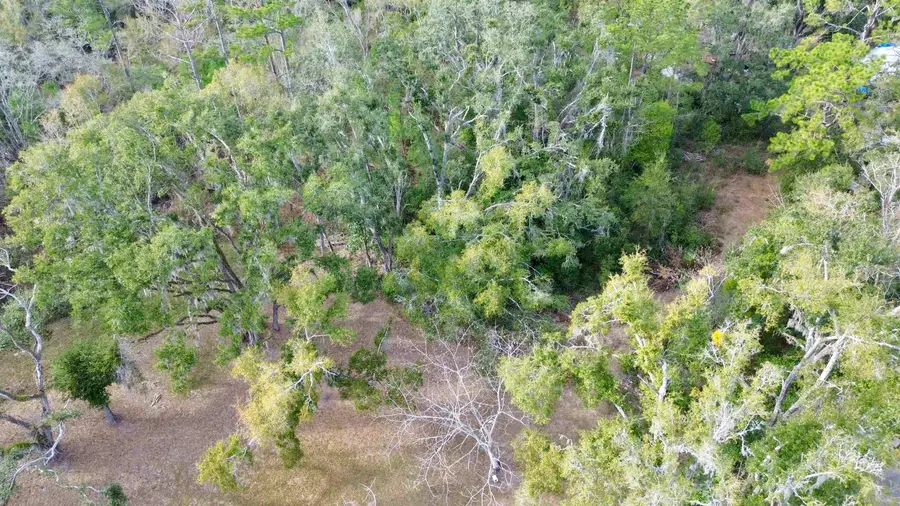 Vacant A Young Road, Perry, FL 32347 - #2