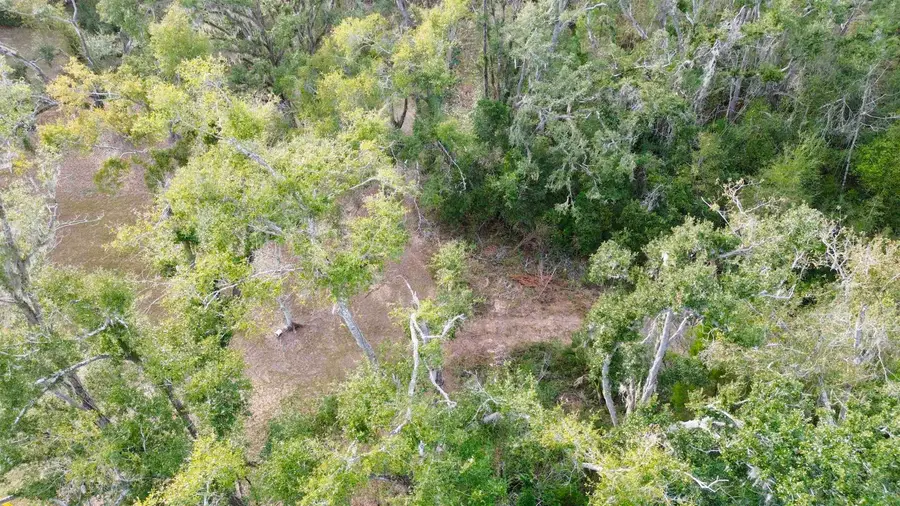 Vacant A Young Road, Perry, FL 32347 - #3