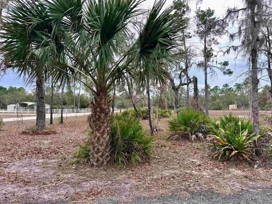 15129 E Royal Oak Drive, Perry, FL 32348 - Image #3