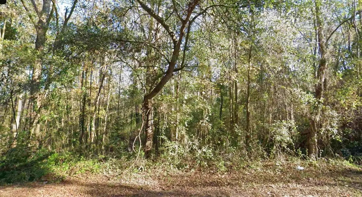 0 Moccasin Gap Road, Tallahassee, FL 32309 - Image #1