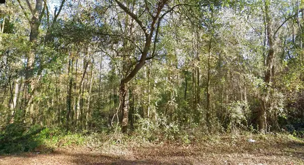 0 Moccasin Gap Road, Tallahassee, FL 32304