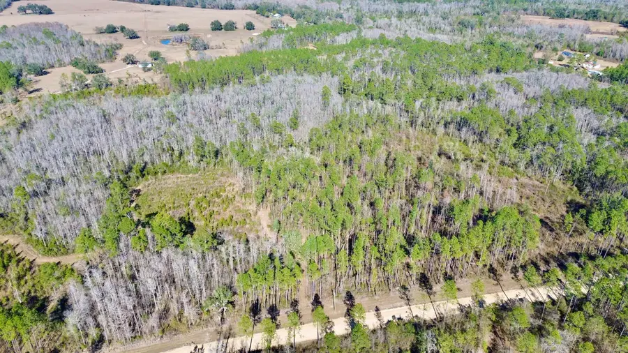 Vacant SW Open Sands Loop, Greenville, FL 32331 - #2