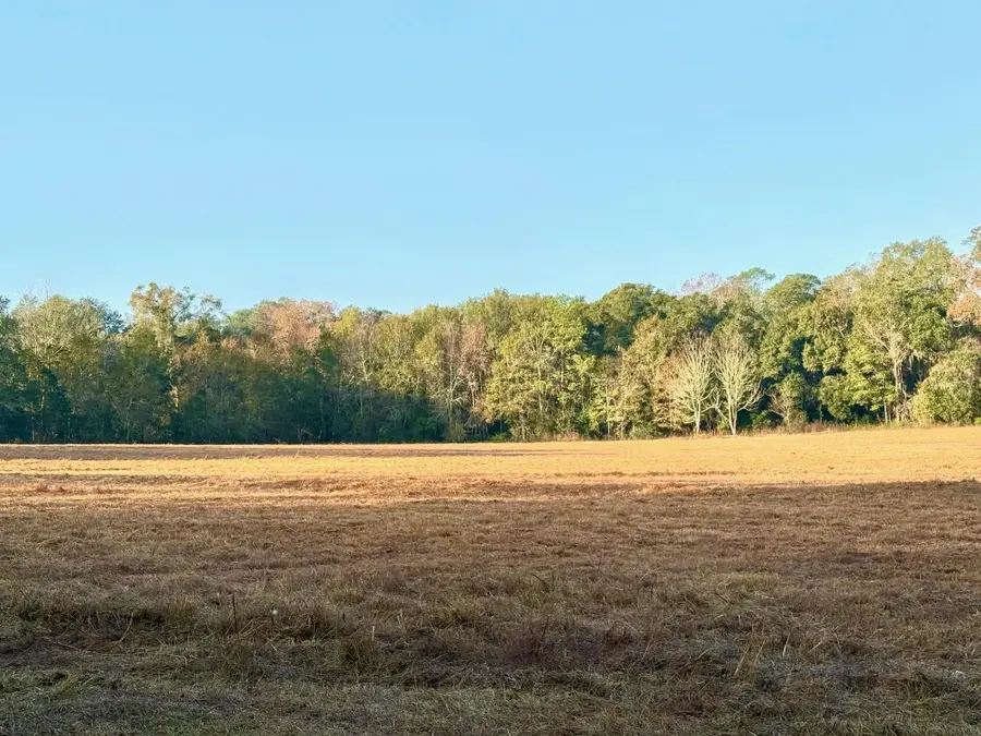 13137 Old Settlement Rd., Tallahassee, FL 32309 - Image #3