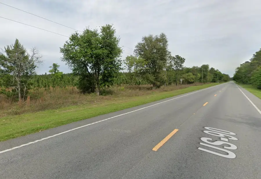 Vacant NE Us Hwy 90, Lee, FL 32059 - Image #2