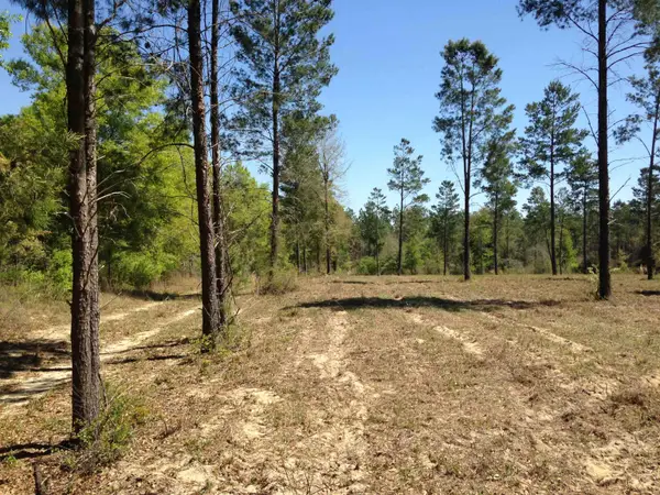 441 NE Mango Avenue, Lee, FL 32059