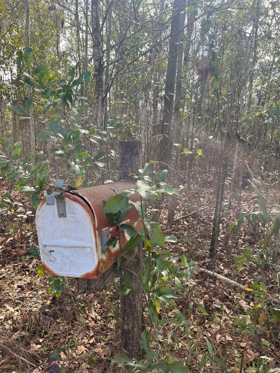 50 E Pinhook Road, Monticello, FL 32344 - Image #3