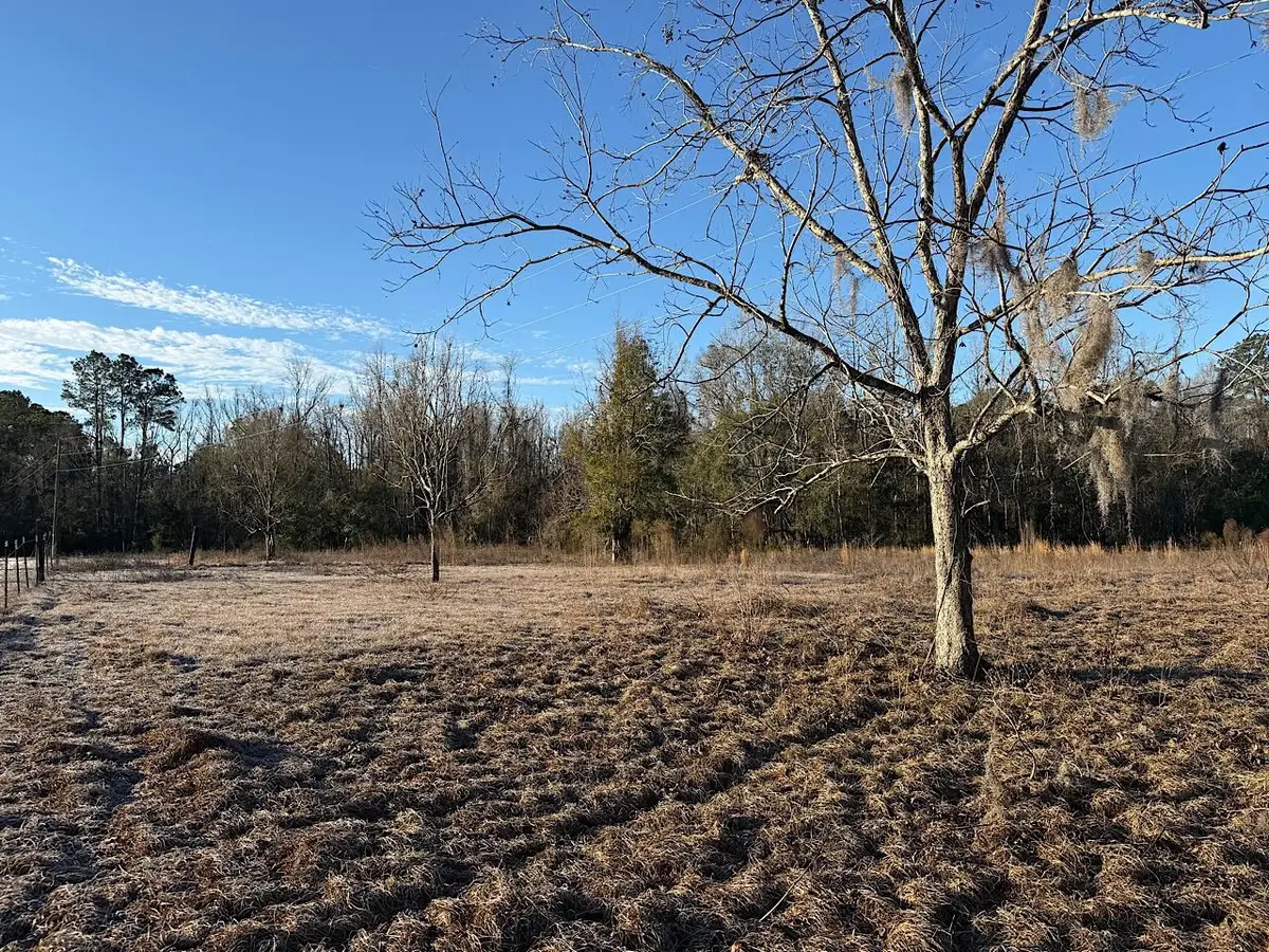 Vacant SW Wyoming Avenue, Lamont, FL 32336 - Image #1