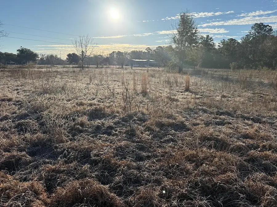 Vacant SW Wyoming Avenue, Lamont, FL 32336 - Image #3