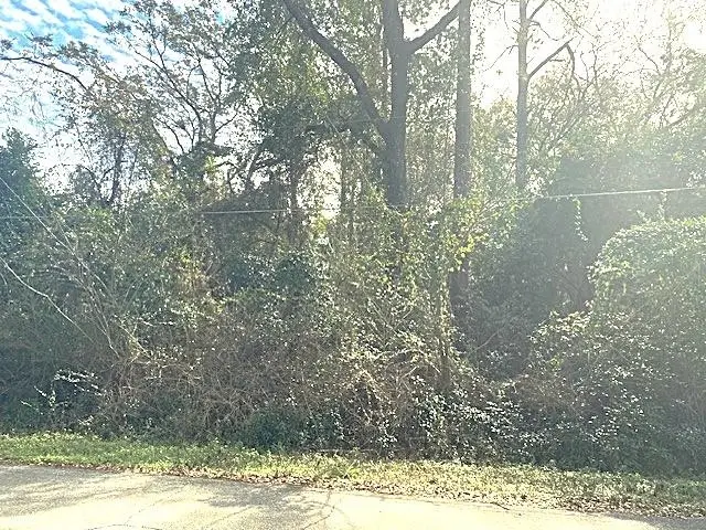 0 Barwick Drive #1, Southeast Leon, FL 32305 - #1