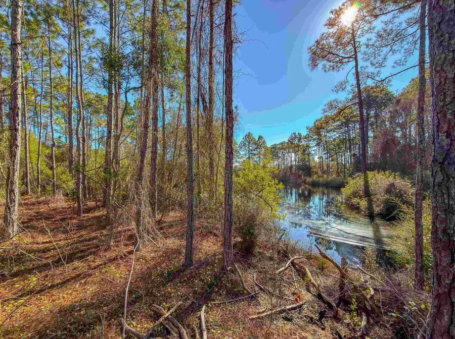 120 Bay Magnolia, Carrabelle, FL 32222 - Image #2