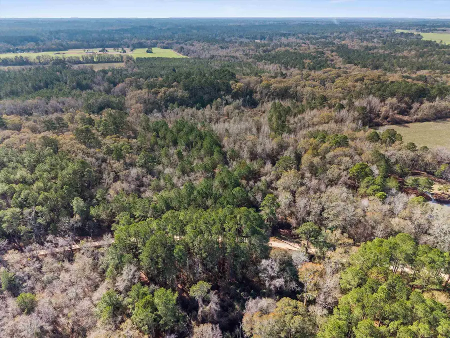 0 Big Pond Lane, Thomasville, GA 31757 - #2
