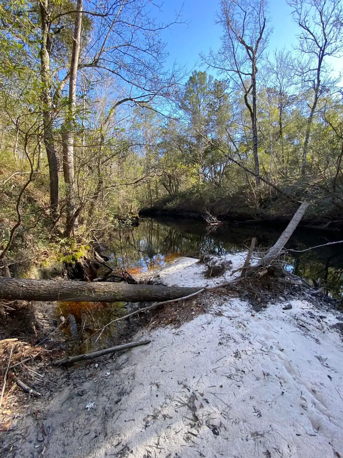 Fonigan Road, Sopchoppy, FL 32358 - Image #1