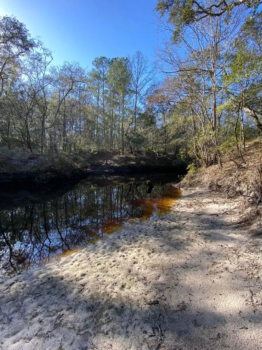 Fonigan Road, Sopchoppy, FL 32358 - Image #3