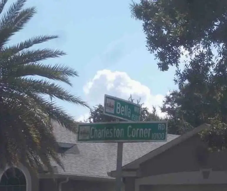 10218 Charleston Corner Road, Tampa, FL 33635 - Image #3