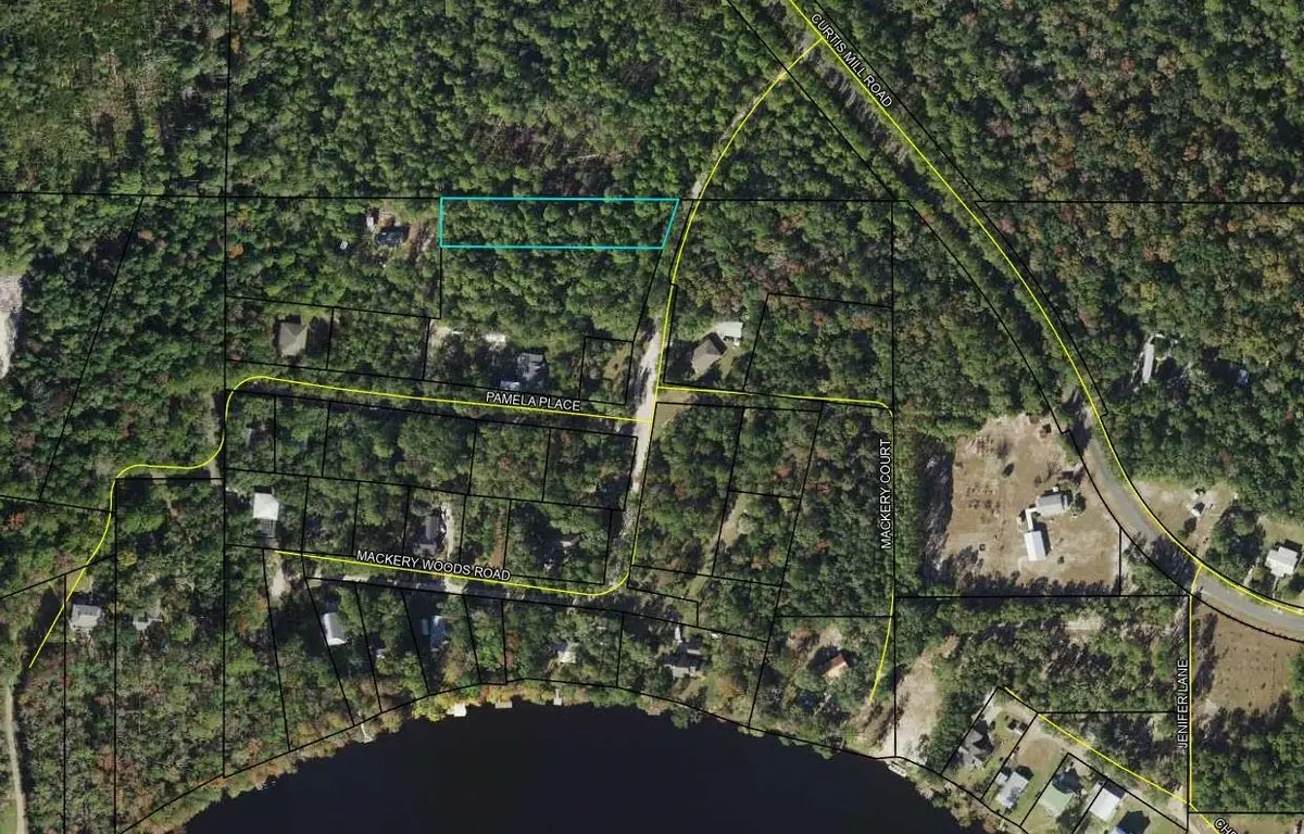 40 Mackery Woods Road, Sopchoppy, FL 32358 - Image #1
