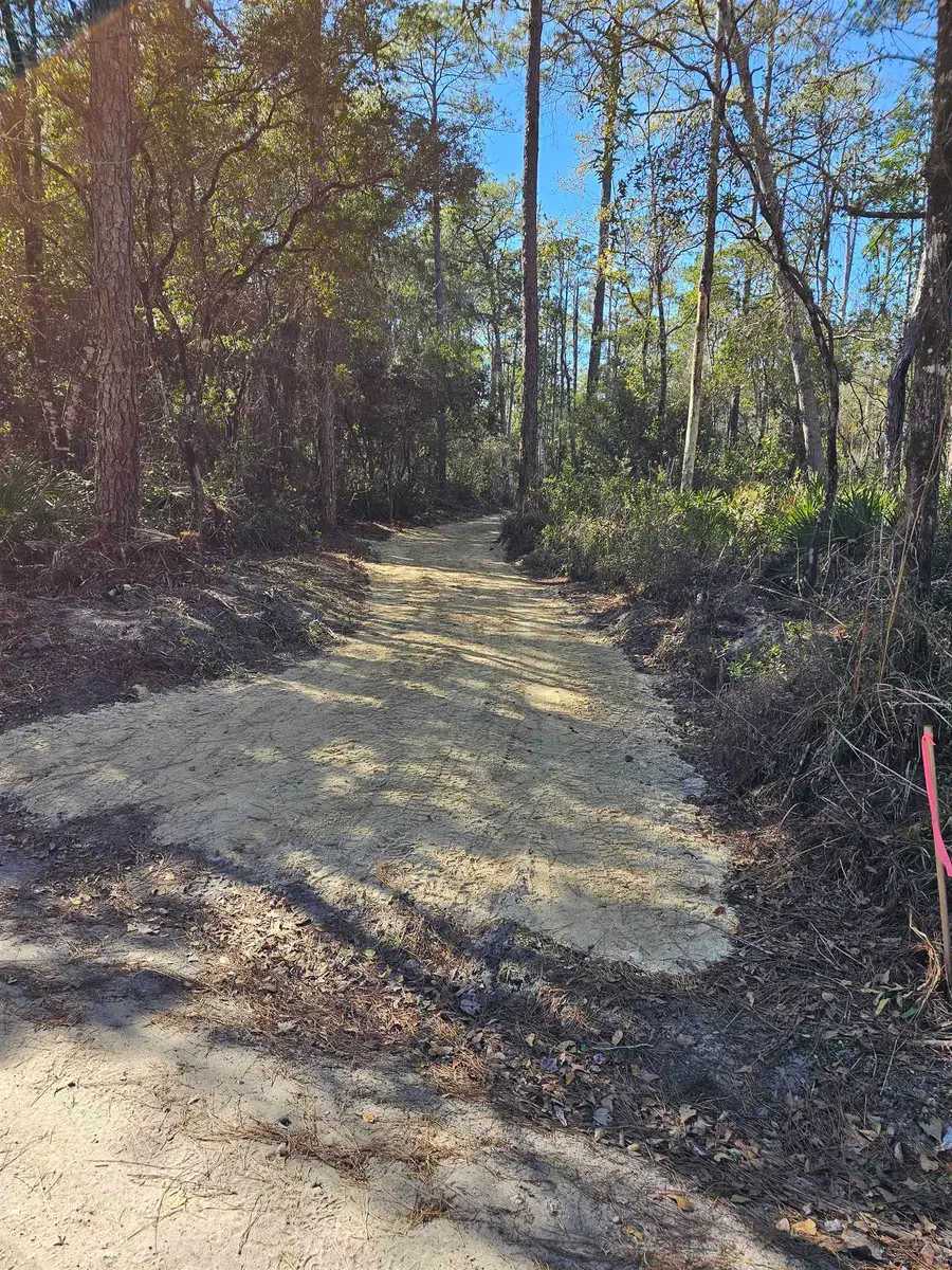 40 Mackery Woods Road, Sopchoppy, FL 32358 - Image #3