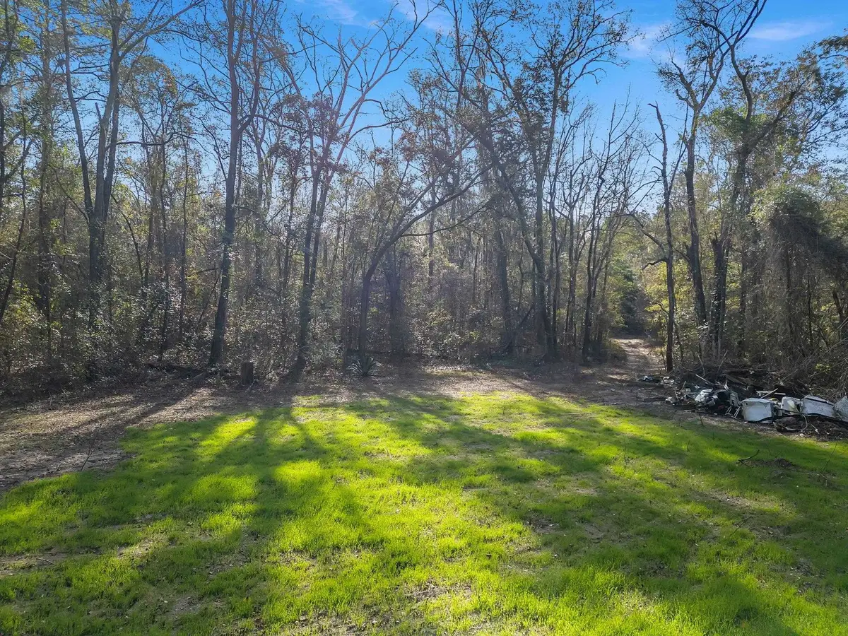 15196 Casland Drive, Tallahassee, FL 32309 - #1