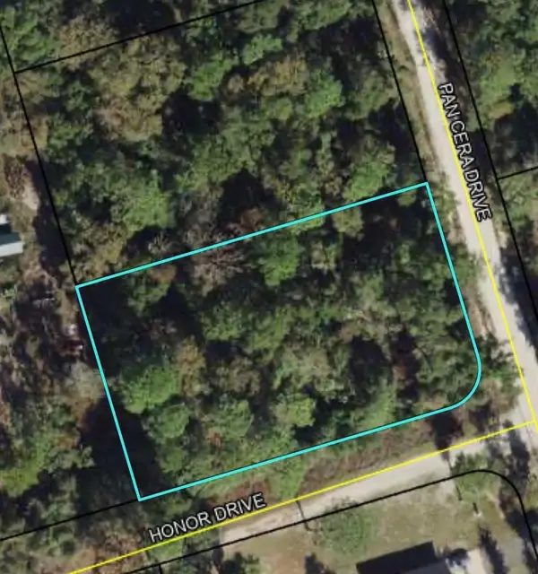 Pan Cera Drive, Crawfordville, FL 32327