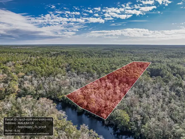 XXX Maleah Lane, Sopchoppy, FL 32358