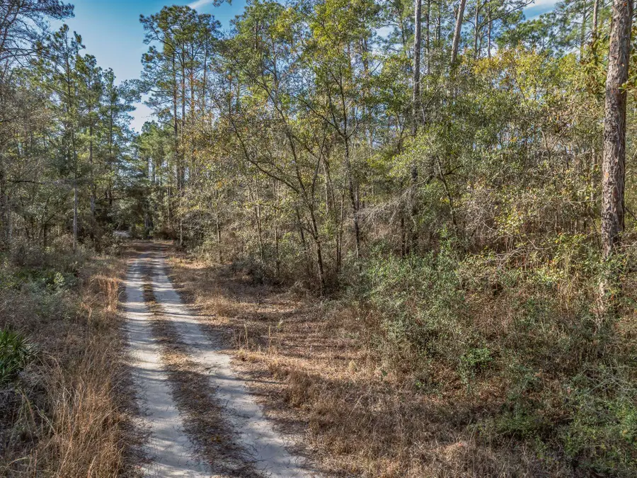 XXX Maleah Lane, Sopchoppy, FL 32358 - #2