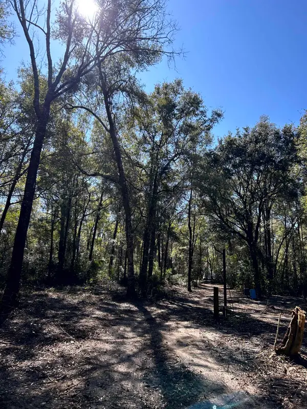 26 Rosewood Road, Crawfordville, FL 32327