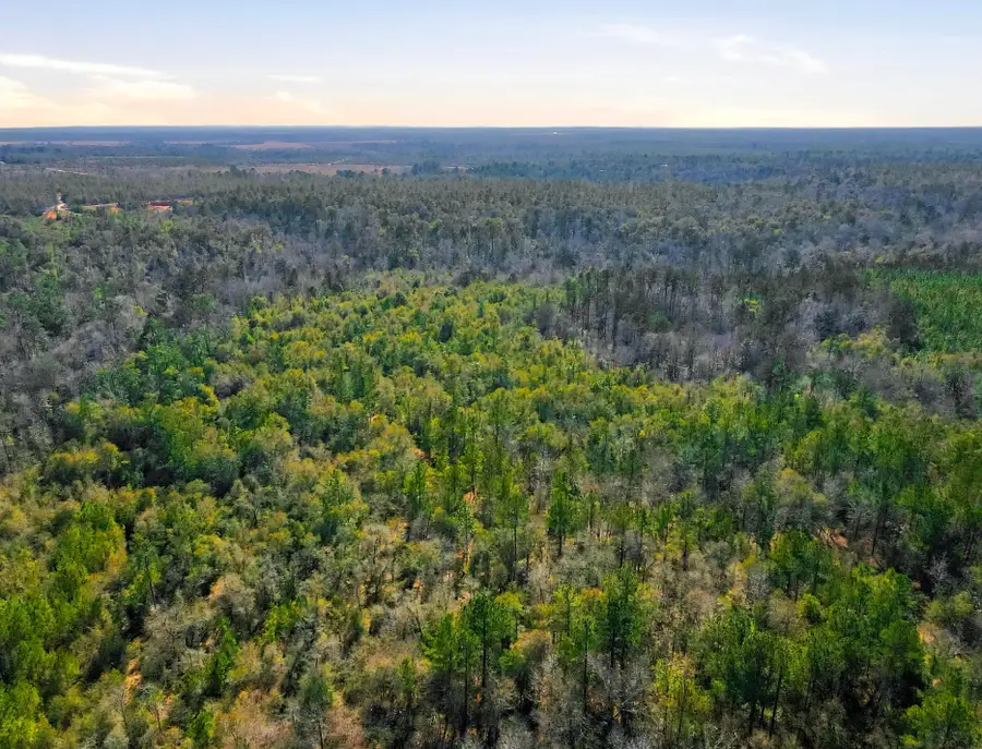 TBD Sycamore Road, Quincy, FL 32351 - #3