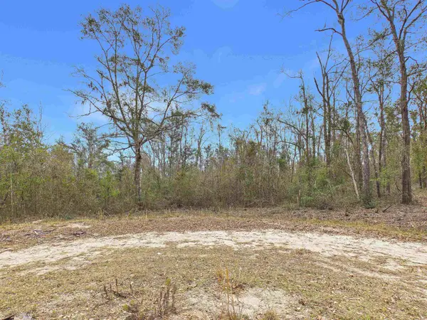 Vacant NE Bush Way, Madison, FL 32340