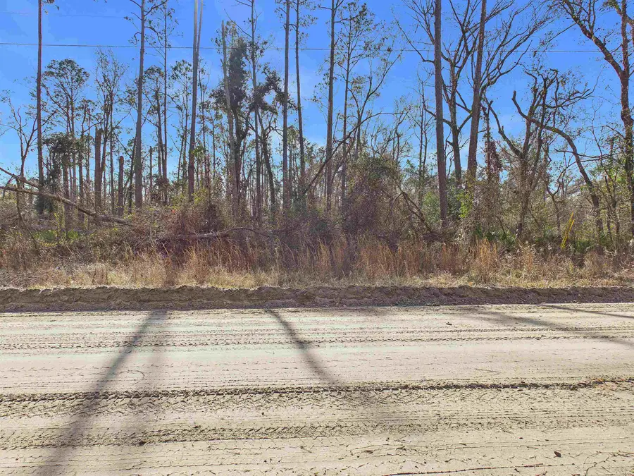 Vacant NE River Park Road, Lee, FL 32059 - #2