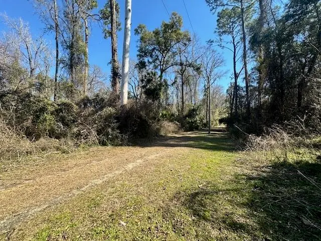 XXX Lovett Road, Crawfordville, FL 32327 - Image #1