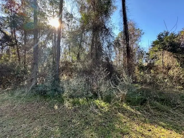 XXX Lovett Road, Crawfordville, FL 32327 - Image #3