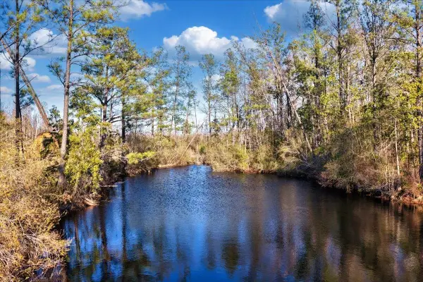 8412 SW Tower Road, Madison, FL 32340