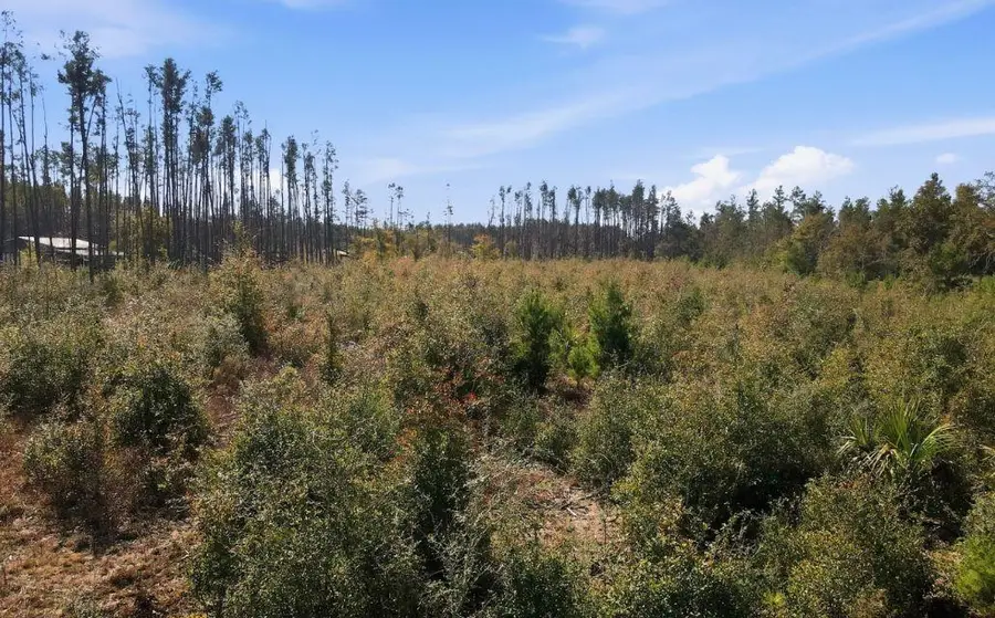 TBD Ocean Pond Drive, Perry, FL 32348 - #2