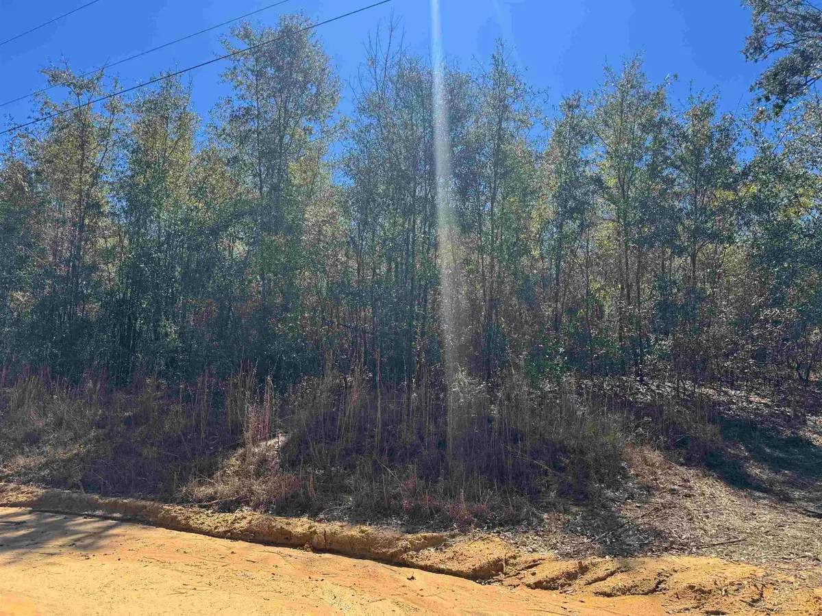 NE Rocky Ford Road, Pinetta, FL 32350 - #1