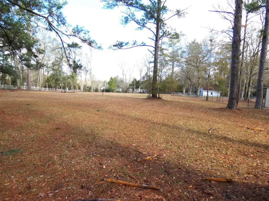 TBD Pineview Road, Monticello, FL 32344 - #3