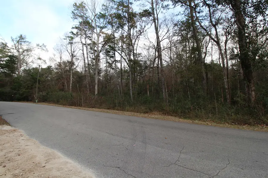 Lot 11 Block D River Plantation Road, Crawfordville, FL 32327 - #2