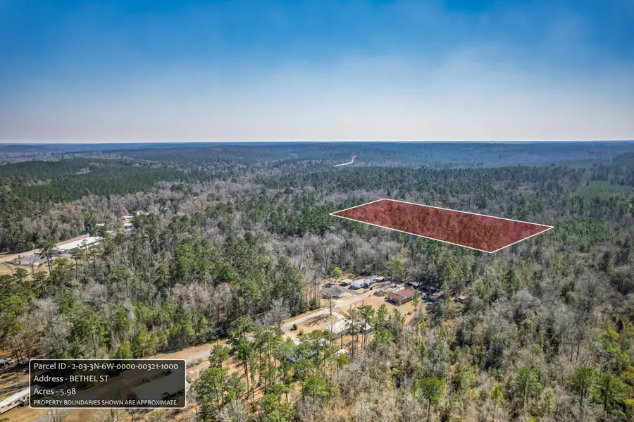 x Bethel Street, Chattahoochee, FL 32324 - #3