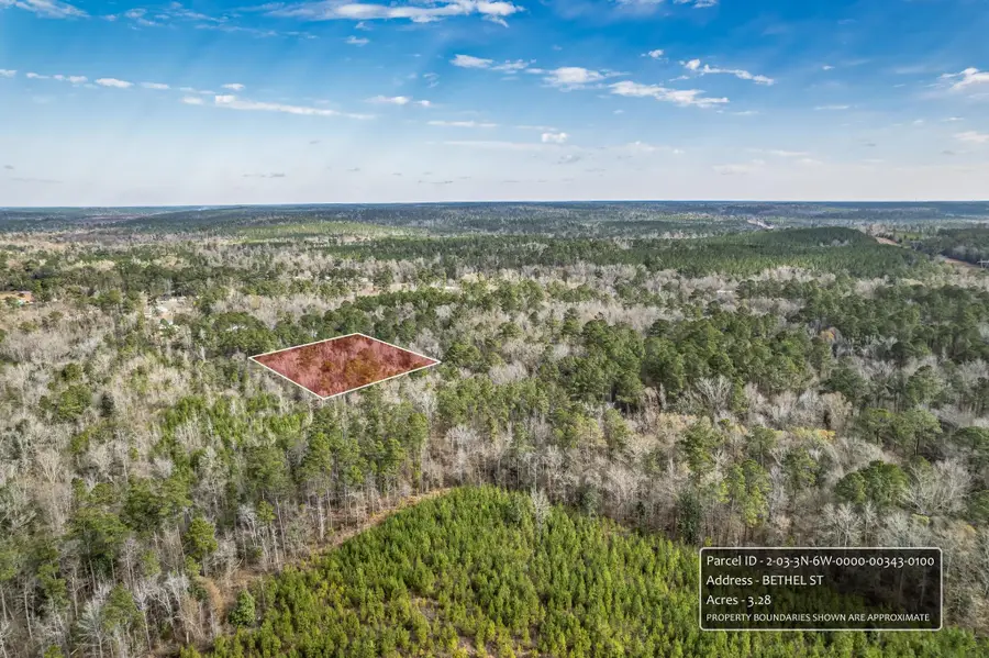 xx Bethel Street, Chattahoochee, FL 32324 - #3