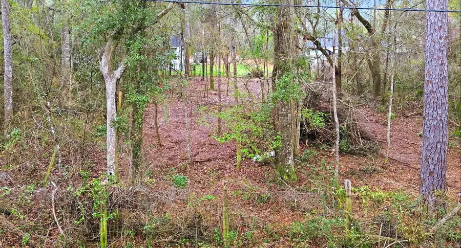 Stanley Drive, West Wakulla, FL 32327 - #3