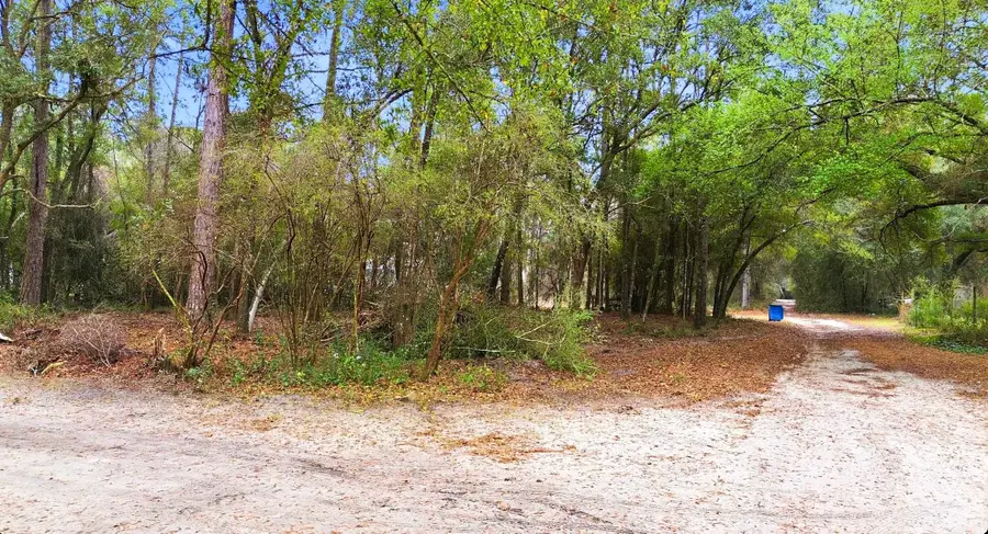 TBD Lot 28 John David Drive, West Wakulla, FL 32327 - #3