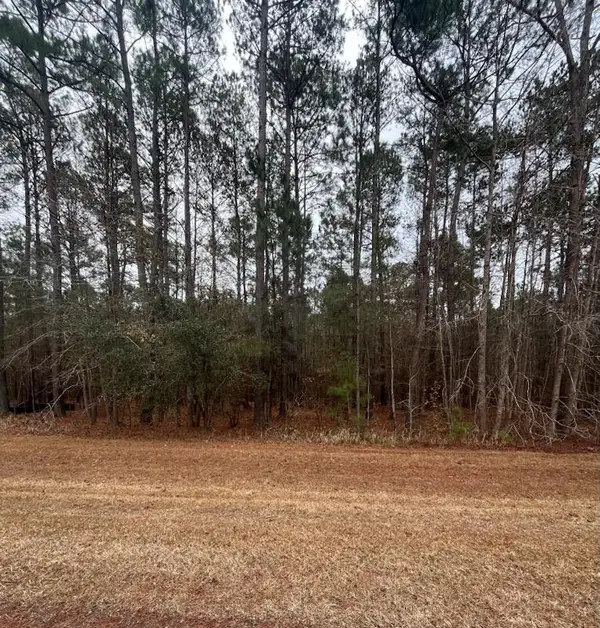 Lot 80 Banning Way Road, Tallahassee, FL 32309