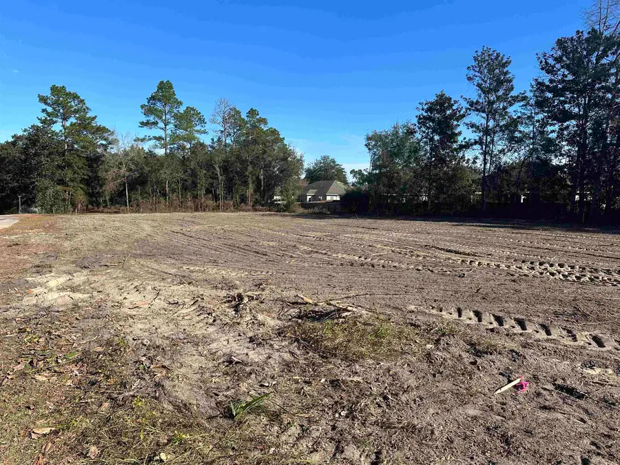 Towles Road, Crawfordville, FL 32327 - #3