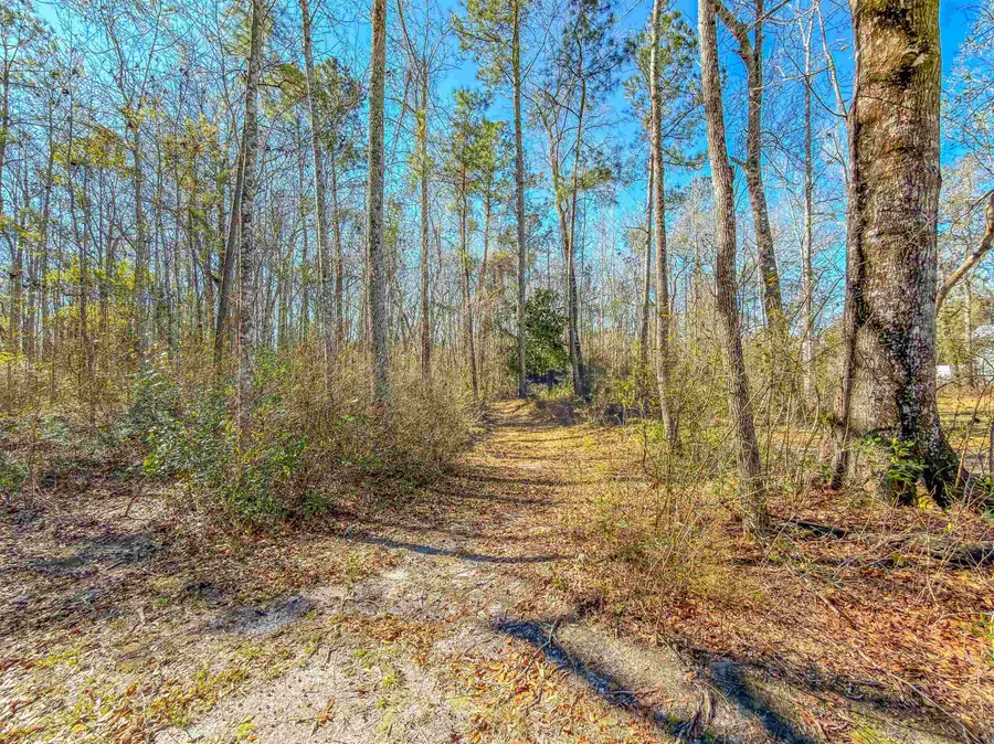 11963 NW Lake Mystic Lee Duggar Road, Bristol, FL 32321 - #3