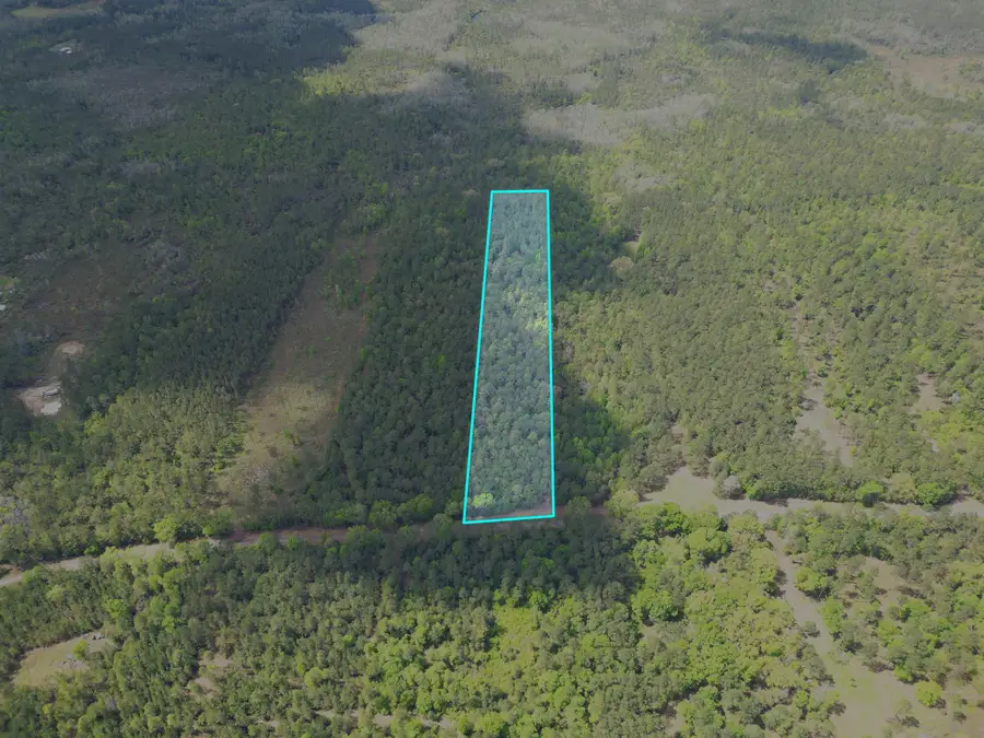 TBD SW Paradise Way, Greenville, FL 32331 - #2