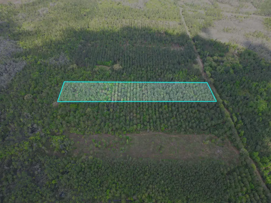 TBD SW Paradise Way, Greenville, FL 32331 - #3