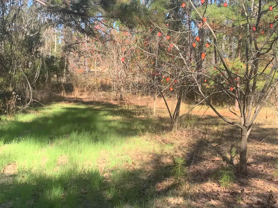 1701 SW Moseley Hall Road, Madison, FL 32340 - #2