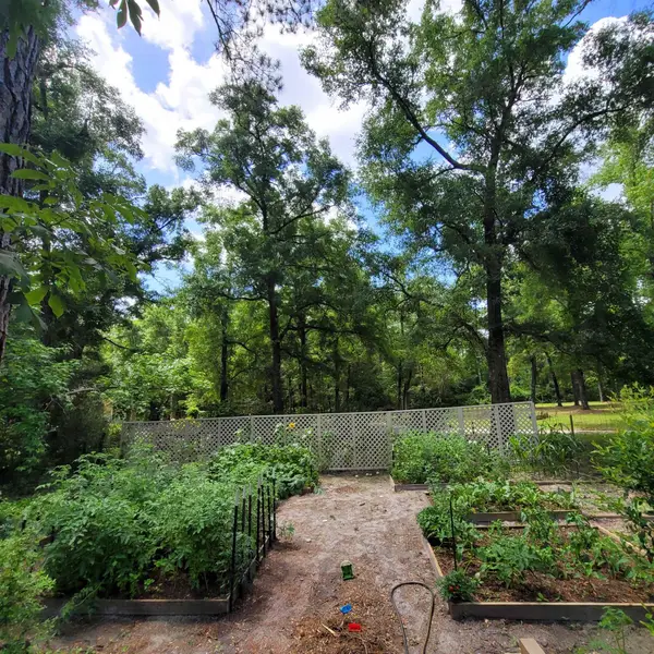 81 Beechwood Drive, Crawfordville, FL 32327