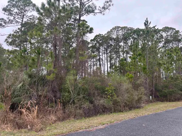 Lot 42 Wilderness Way, Panacea, FL 32346
