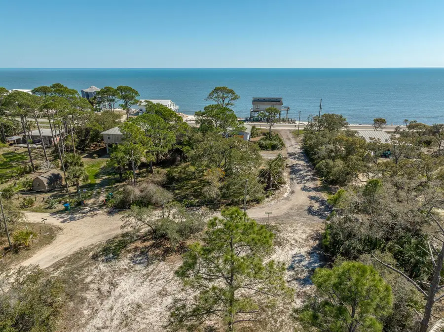 1272 Angus Morrison Road, Alligator Point, FL 32346 - #3