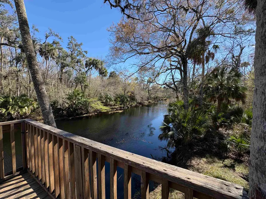 1714 NE River Road, Steinhatchee, FL 32359 - #2